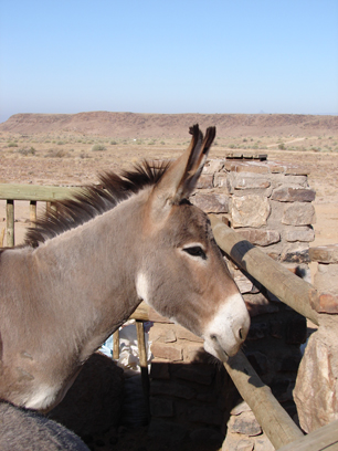 Namibia_7